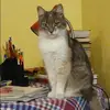 Отзыв от Алиса Малахова